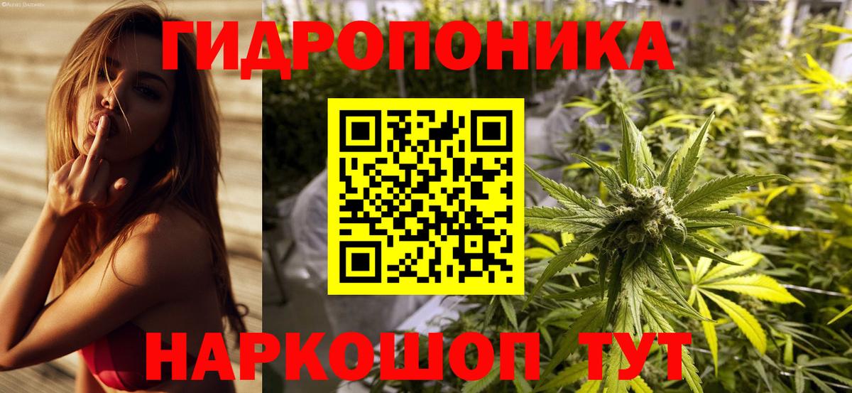 Каннабис Ganja  Шишки марихуана план  Вход с VPN  Коркино  Марихуана сатива 